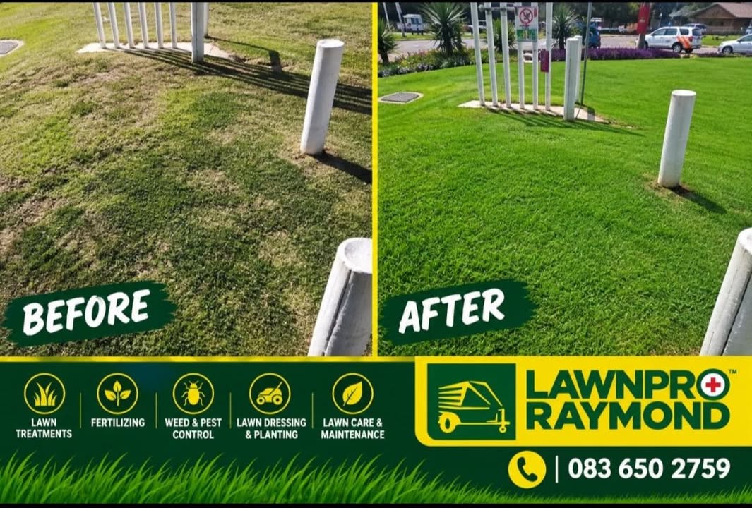 Lawnpro - Raymond